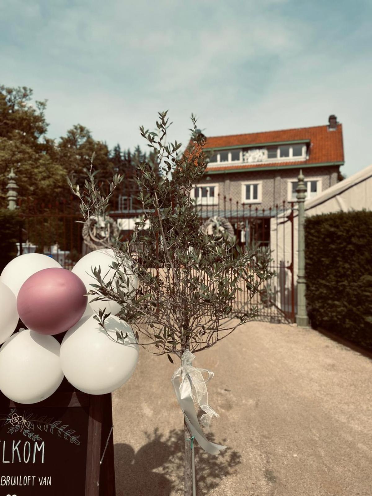 B&B 't Goed Leven Stokrooie Extérieur photo